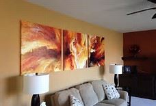 Cotton Canvas Range